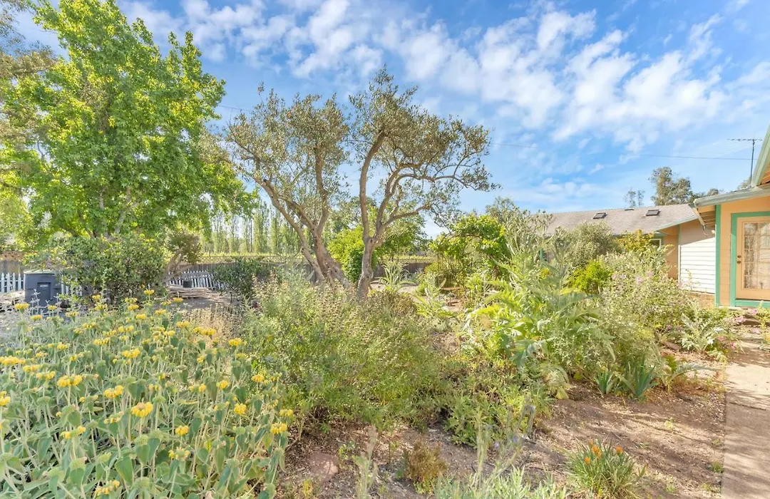 Lush And Warm 2Br House In Sonoma Home-1