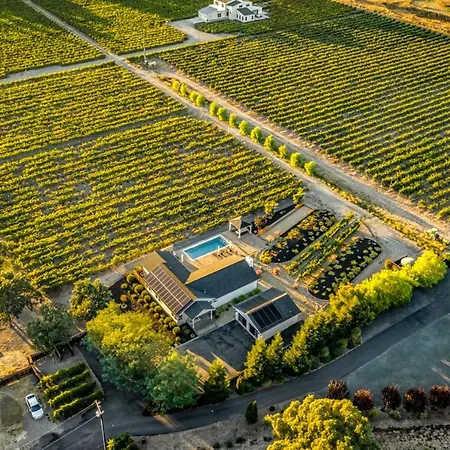 Vineyard View-3