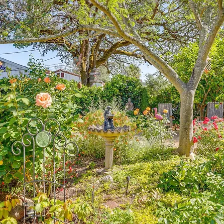 Romantic Casita With Garden And Deck 2 Miles To Plaza!-3